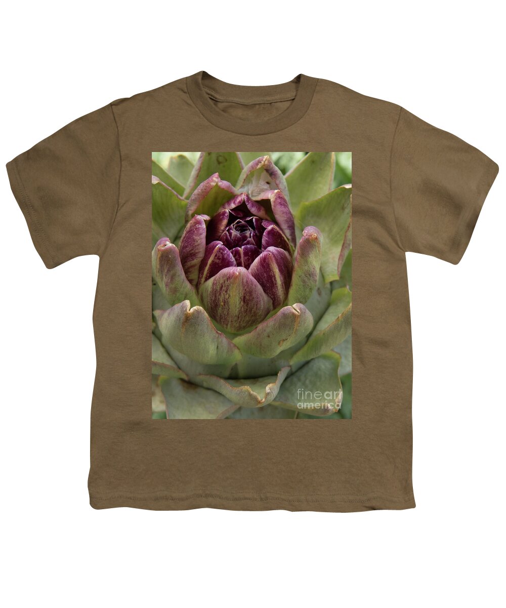 Artichoke Youth T-Shirt featuring the photograph Artichoke Plant by Christy Garavetto