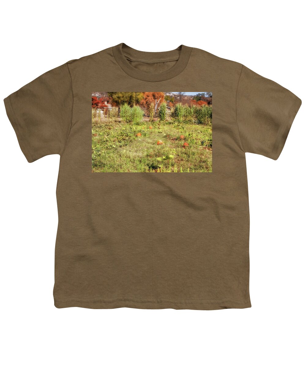 Pumpkin Patch Youth T-Shirt featuring the photograph Autumn in the Pumpkin Patch by Alison Frank