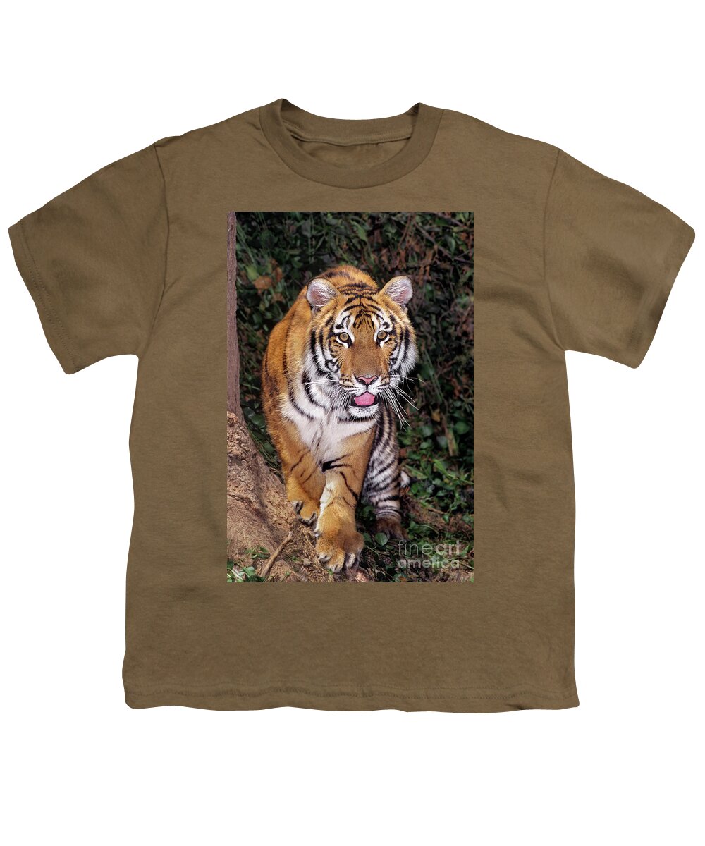 Bengal Tiger Youth T-Shirt featuring the photograph Bengal Tiger by Tree Endangered Species Wildlife Rescue by Dave Welling