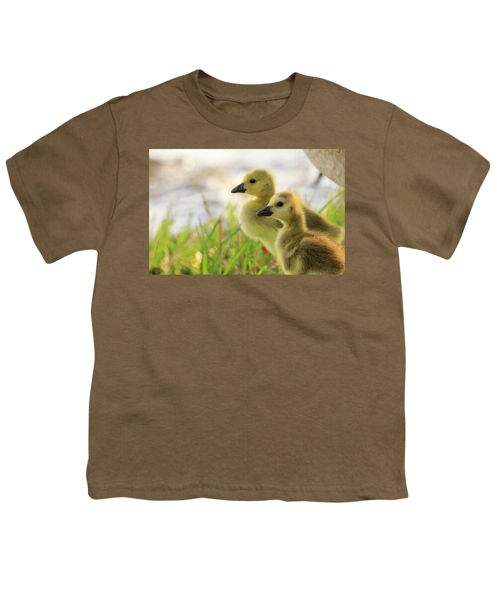 Goslings Youth T-Shirt featuring the photograph Boston Goslings by Rob Davies