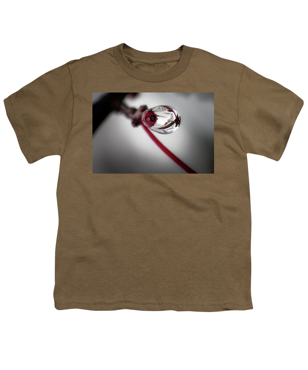 Chrystal Mimbs Youth T-Shirt featuring the photograph Burning Bush Water Berry by Greg and Chrystal Mimbs