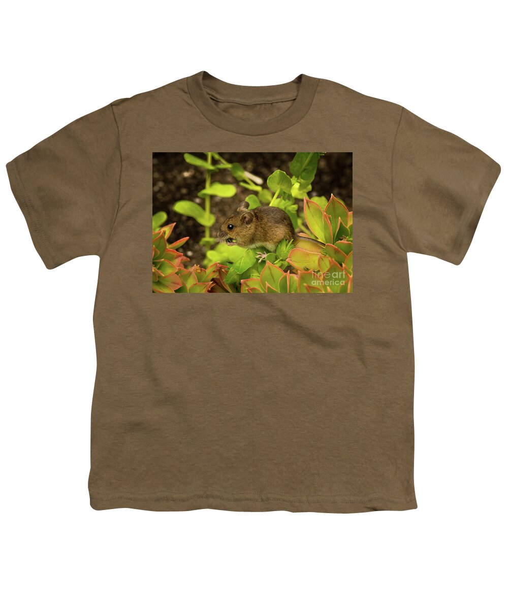 Alert Youth T-Shirt featuring the photograph Closeup Of A Cute Little Mouse With Brown Fur Sitting On Plant With Green Leaves And Eats A Seed by Andreas Berthold