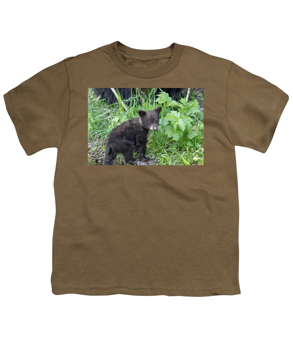 Bears Bear Black Cub Coy Animals Wildlife Cute Yellowstone National Park Tower Rocks Grass Youth T-Shirt featuring the photograph Coy by Ronnie And Frances Howard