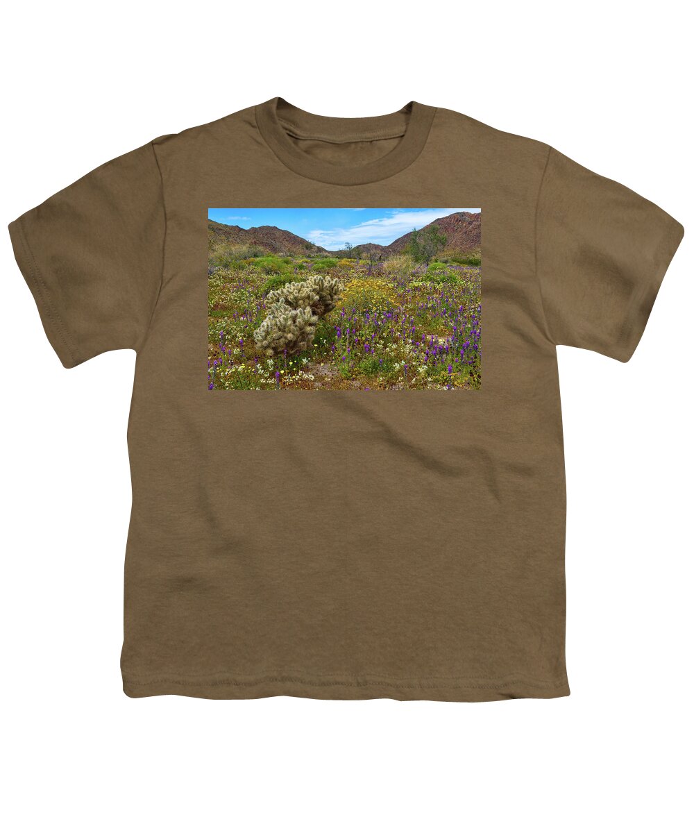 Flowers Youth T-Shirt featuring the photograph Desert Spring by Dan McGeorge
