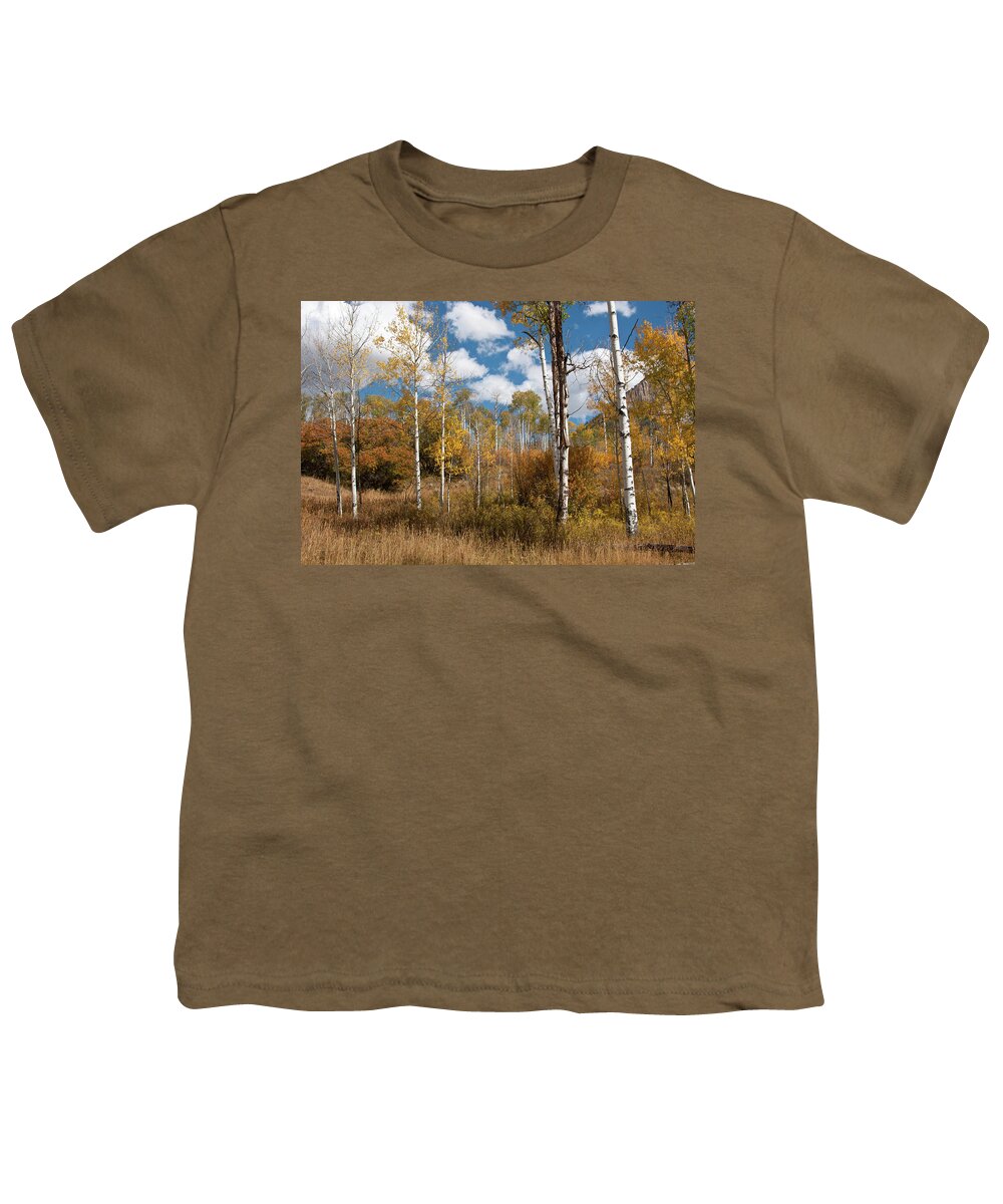 Autumn Youth T-Shirt featuring the photograph Early Afternoon Autumn Aspen Meadow by Cascade Colors