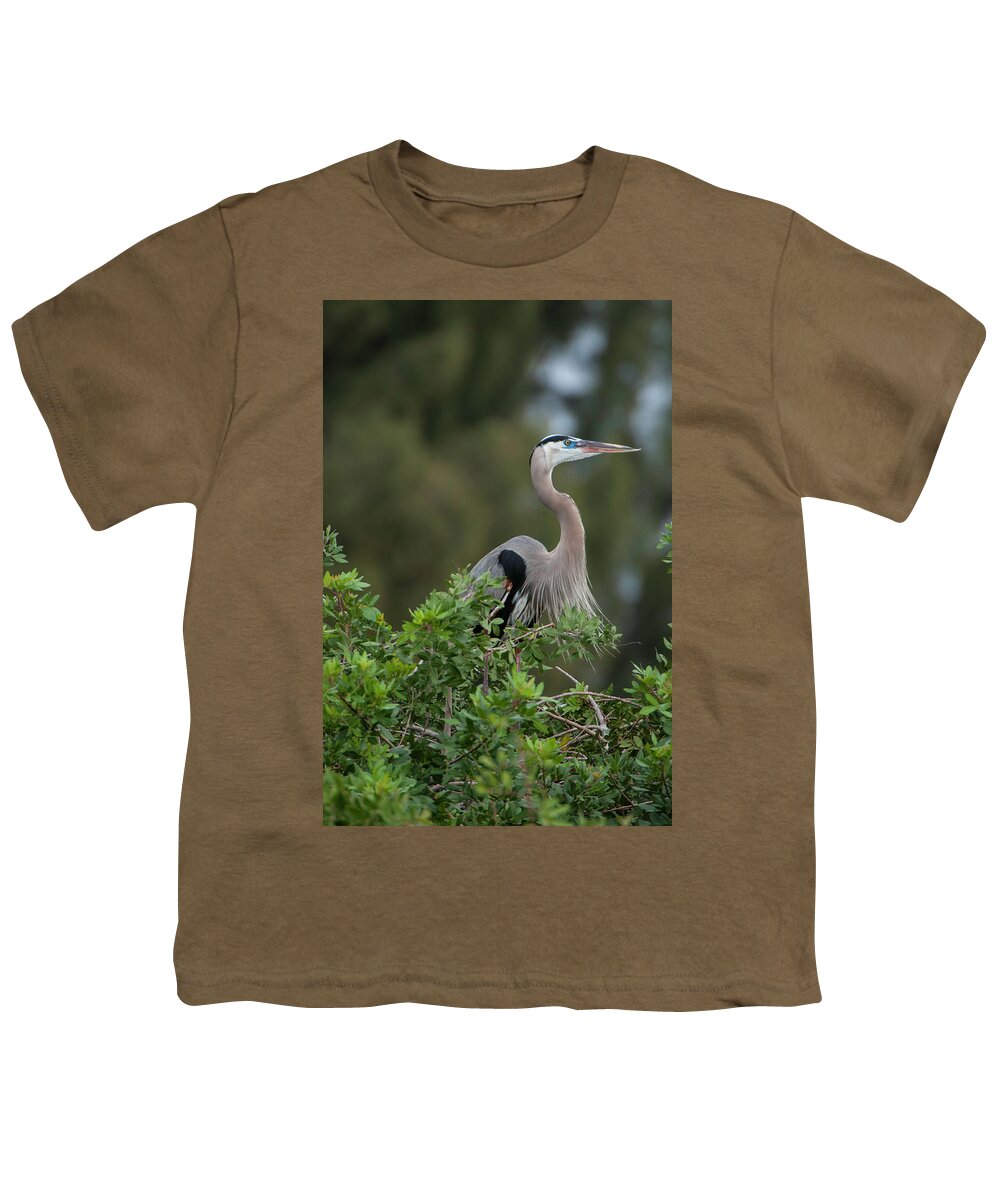 Birds Youth T-Shirt featuring the photograph Great Blue Heron Portrait by Donald Brown