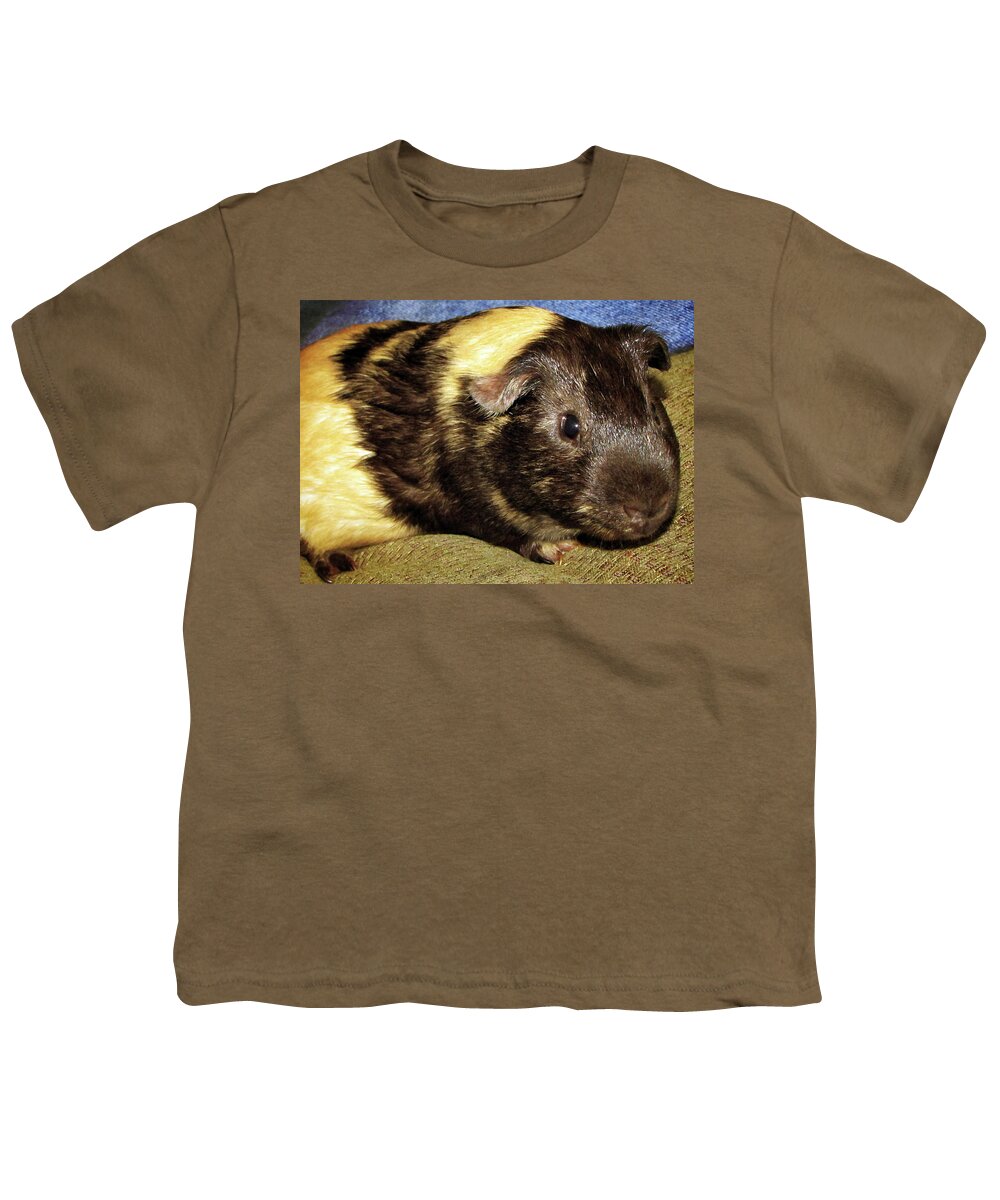 Pet Youth T-Shirt featuring the photograph Guinea pig by Tikvah's Hope