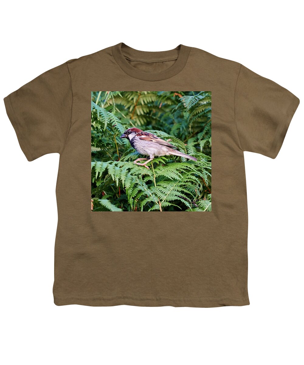 Branch Youth T-Shirt featuring the photograph House Sparrow Male Perched on Fern by Pablo Avanzini