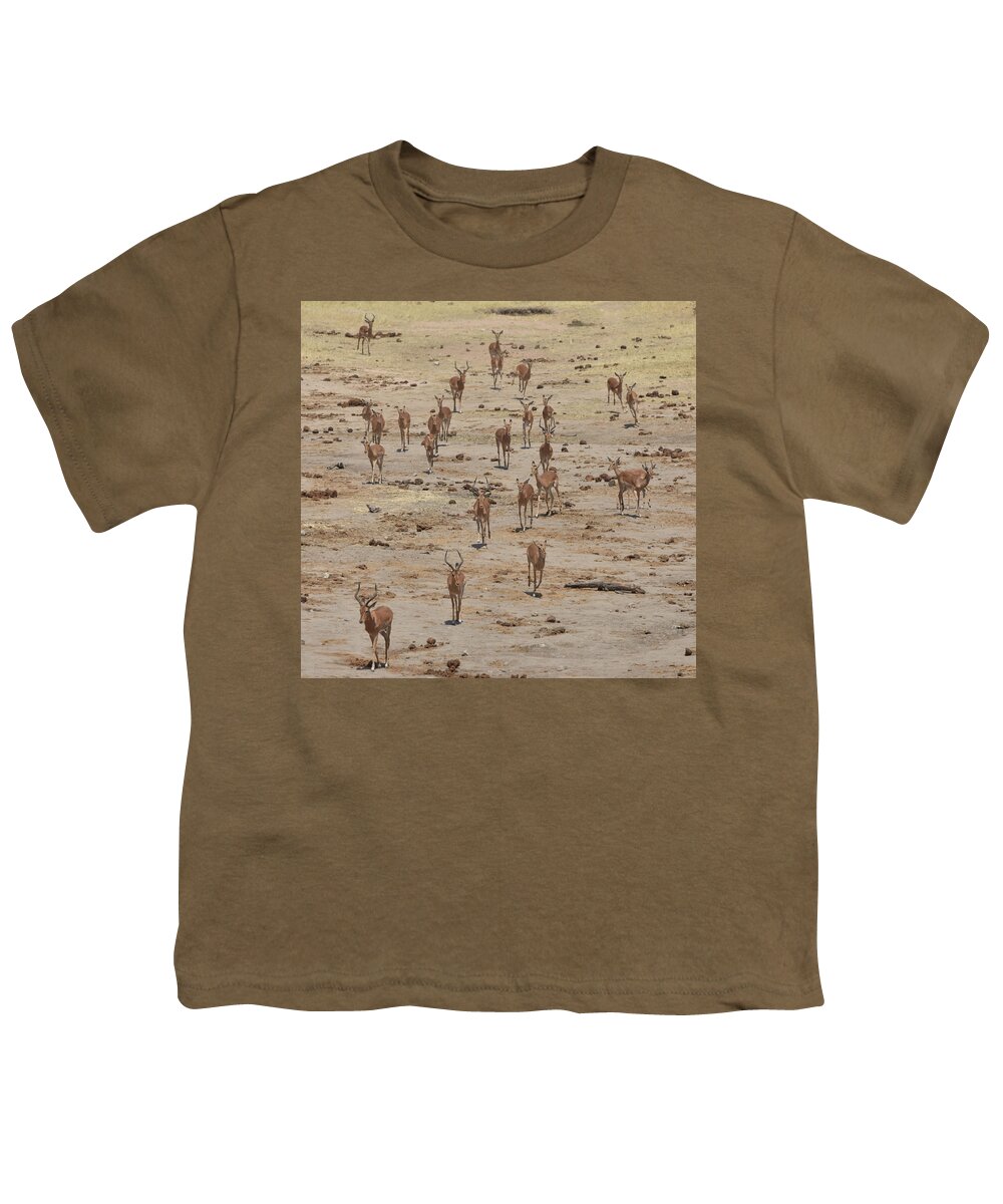 Impala Youth T-Shirt featuring the photograph Impala Coming to Water by Ben Foster