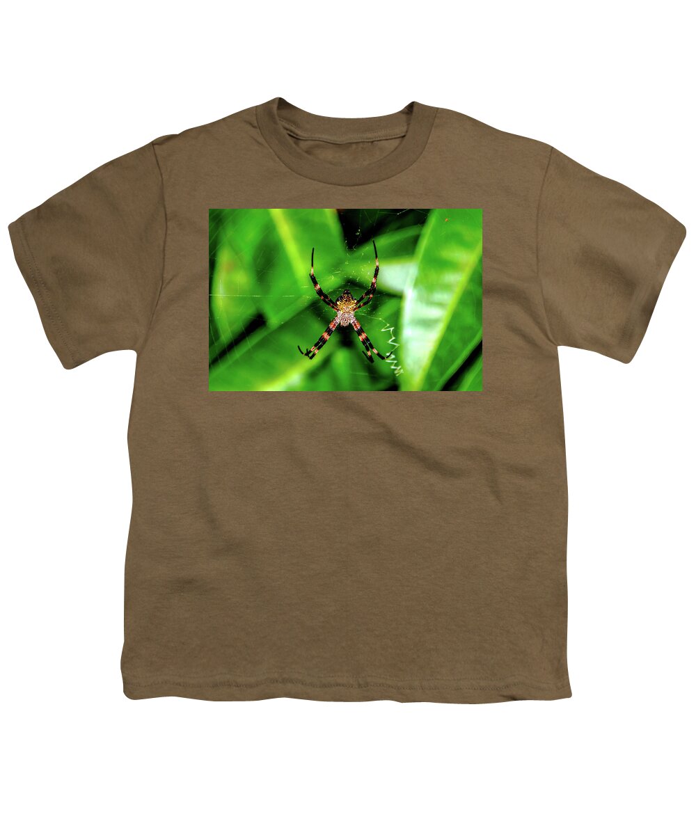 Spider Youth T-Shirt featuring the photograph Just Hanging by John Bauer