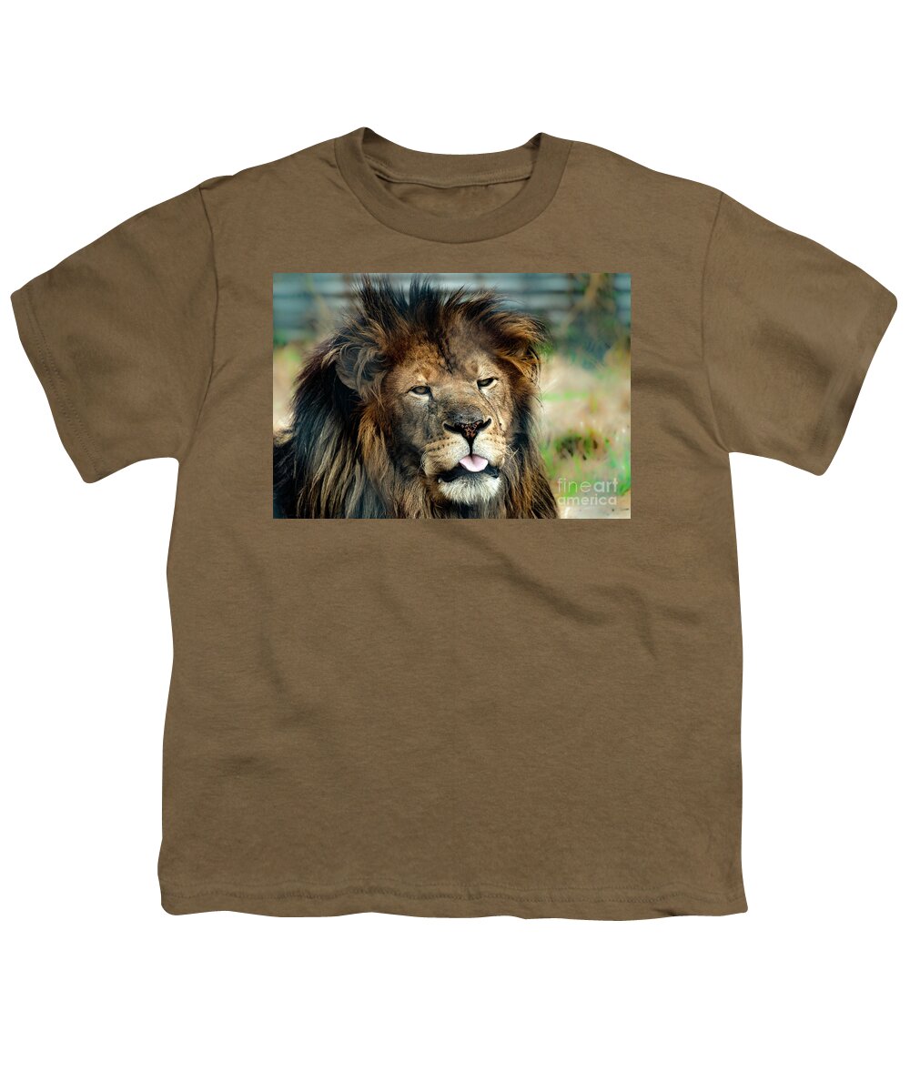 Lion Youth T-Shirt featuring the photograph Lion mocking the world by Sam Rino