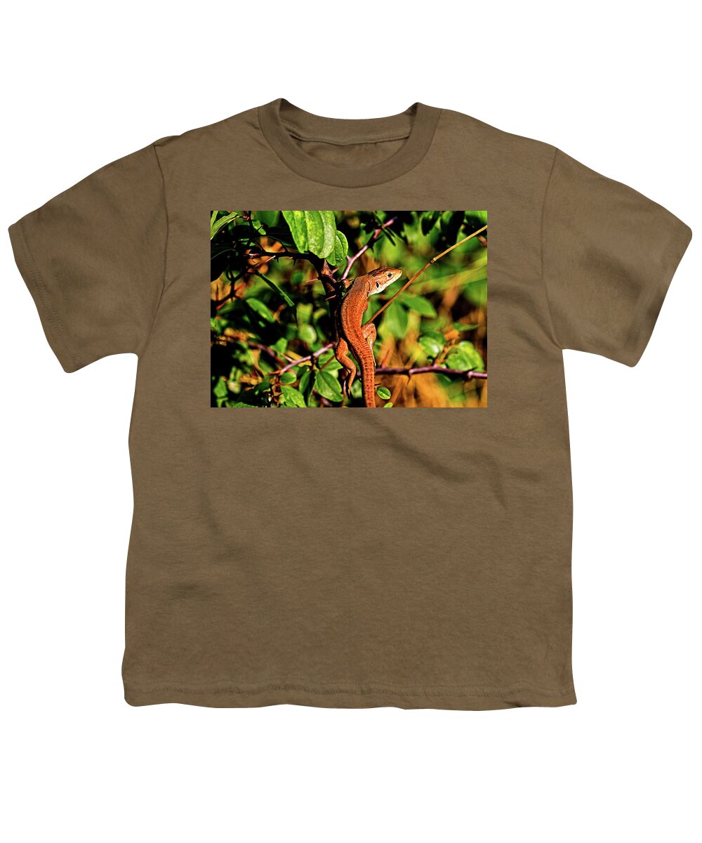 Lizard Youth T-Shirt featuring the photograph Lizard in the forest by Martin Smith