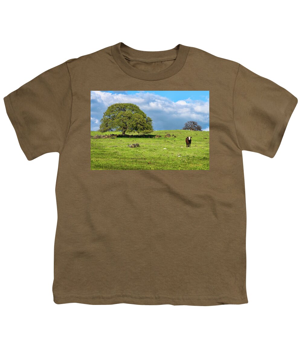 Cattle Youth T-Shirt featuring the photograph Lonely Steer by Dan McGeorge