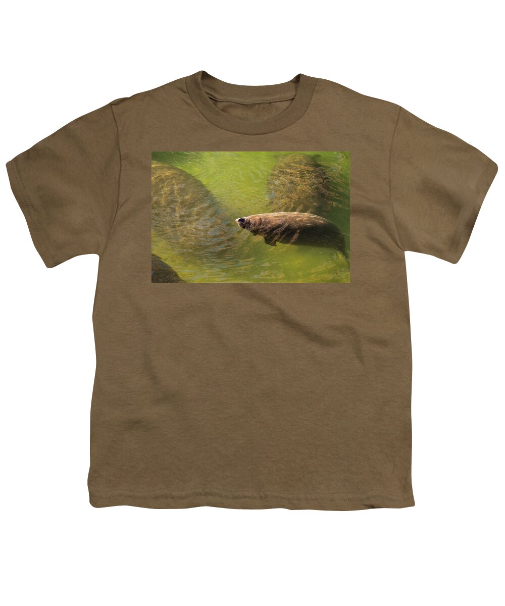 Manatee Youth T-Shirt featuring the photograph Manatees by Chuck Brown