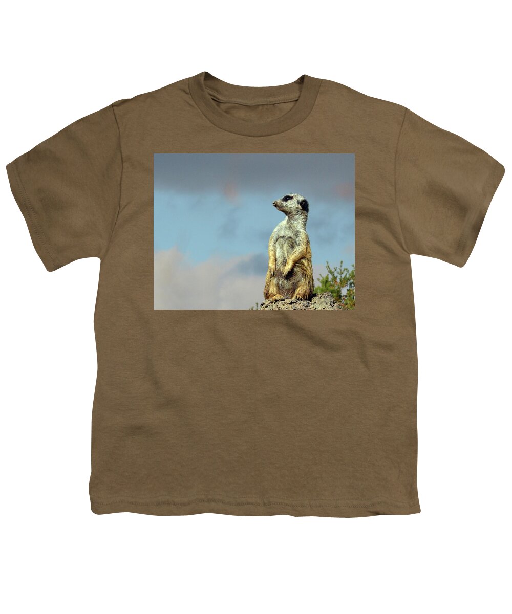 Meerkat Youth T-Shirt featuring the photograph Meerkat Contemplation by Sandi OReilly