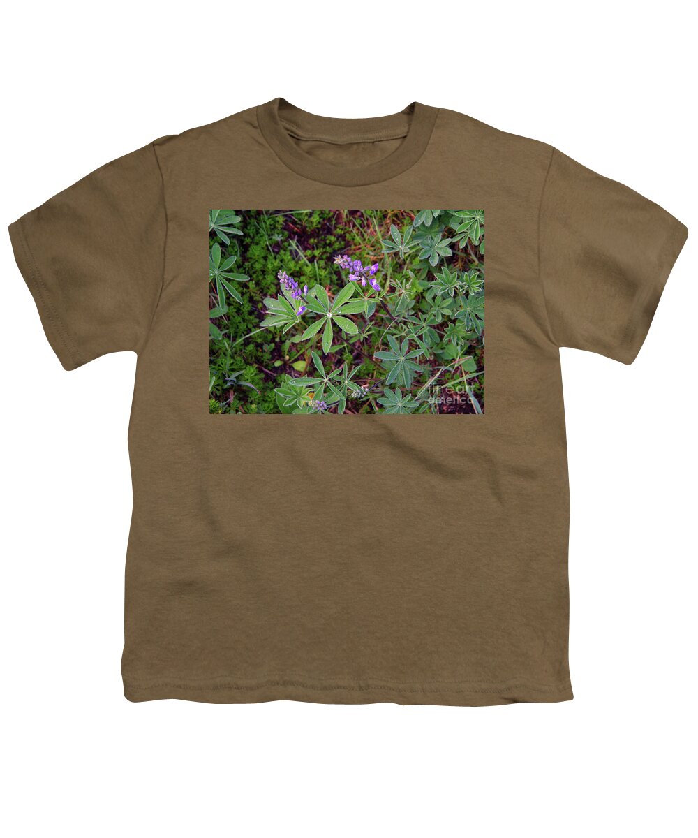 Dew Drop Youth T-Shirt featuring the photograph Morning jewel on the forest floor by Jeff Swan
