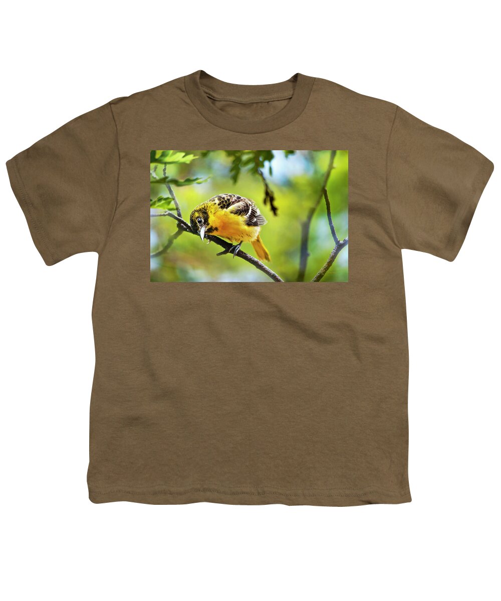 Baltimore Oriole Youth T-Shirt featuring the photograph Musing Baltimore Oriole by Christina Rollo