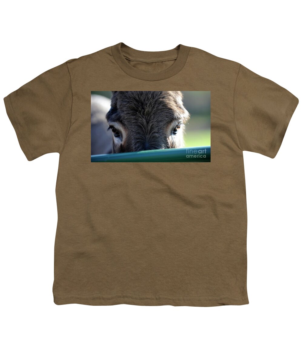 Rosemary Farm Sanctuary Youth T-Shirt featuring the photograph Nemo's Eyes by Carien Schippers