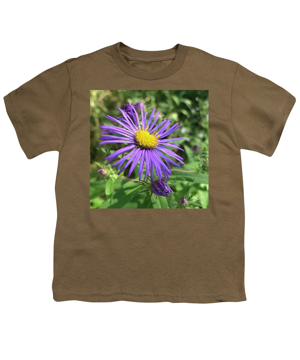 New England Aster Youth T-Shirt featuring the photograph New England Aster 1 by Amy E Fraser