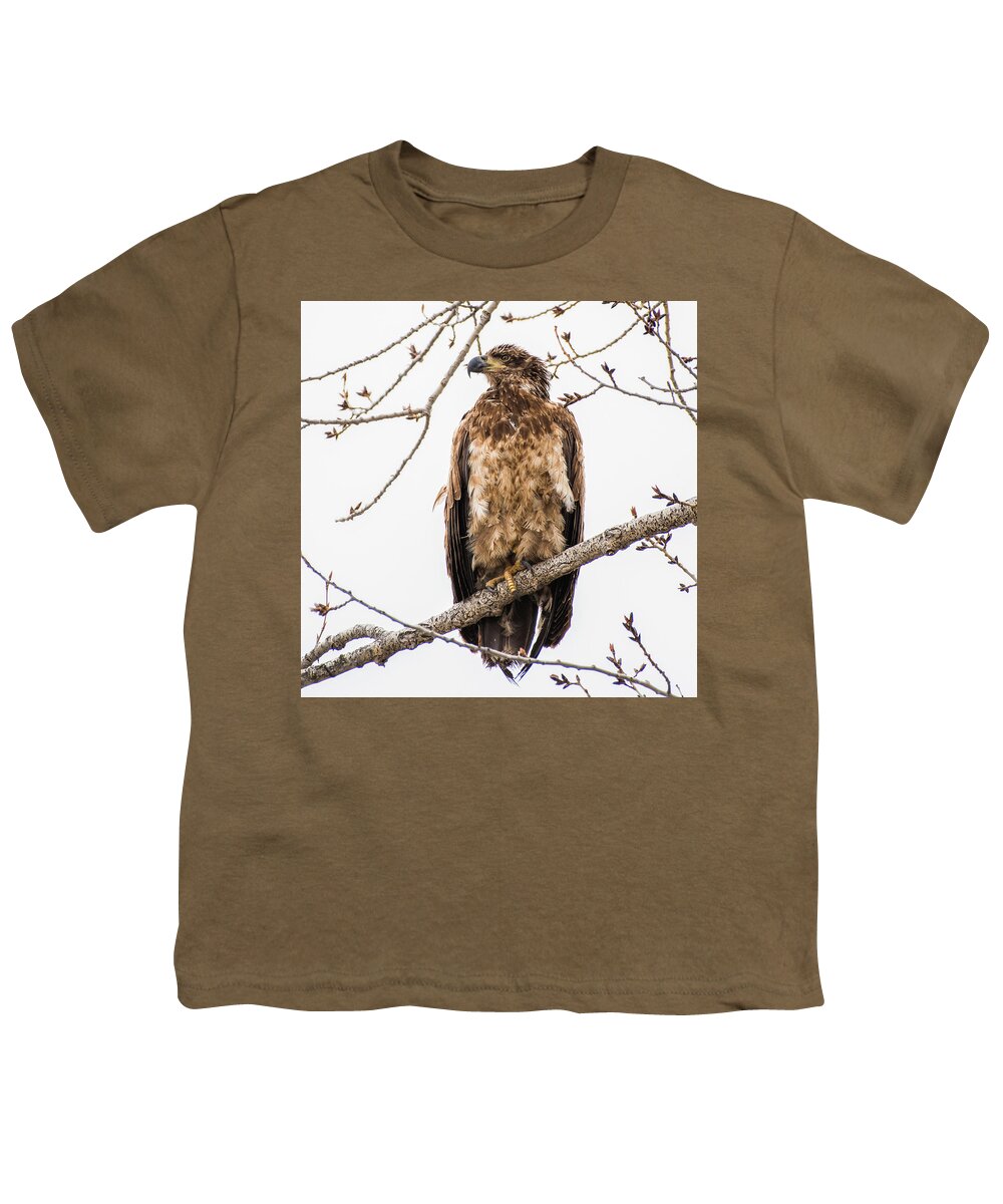 Eagle Youth T-Shirt featuring the photograph Out On A Limb by Yeates Photography