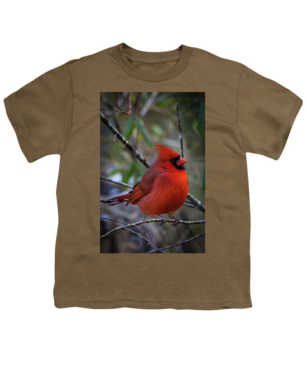 Birds Youth T-Shirt featuring the photograph Papa Cardinal by Robert J Wagner