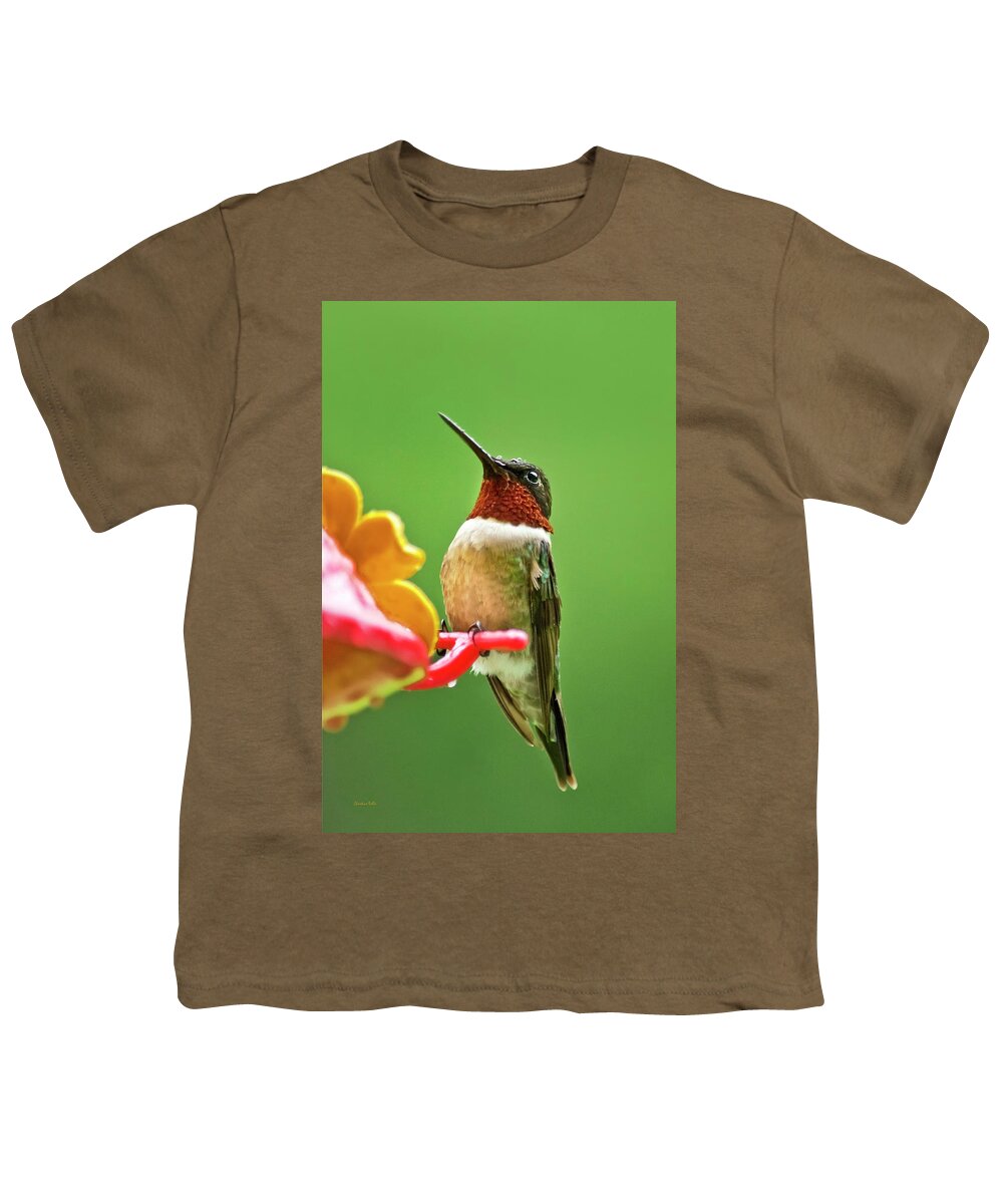 Hummingbird Youth T-Shirt featuring the photograph Rainy Day Hummingbird by Christina Rollo
