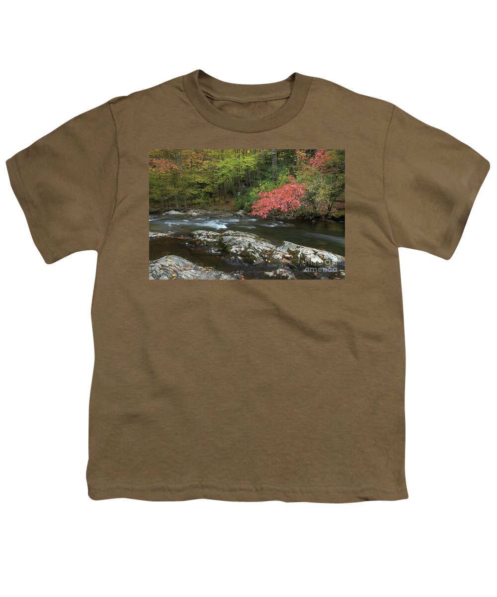 Trees Youth T-Shirt featuring the photograph Red Leaves Of Autumn by Mike Eingle