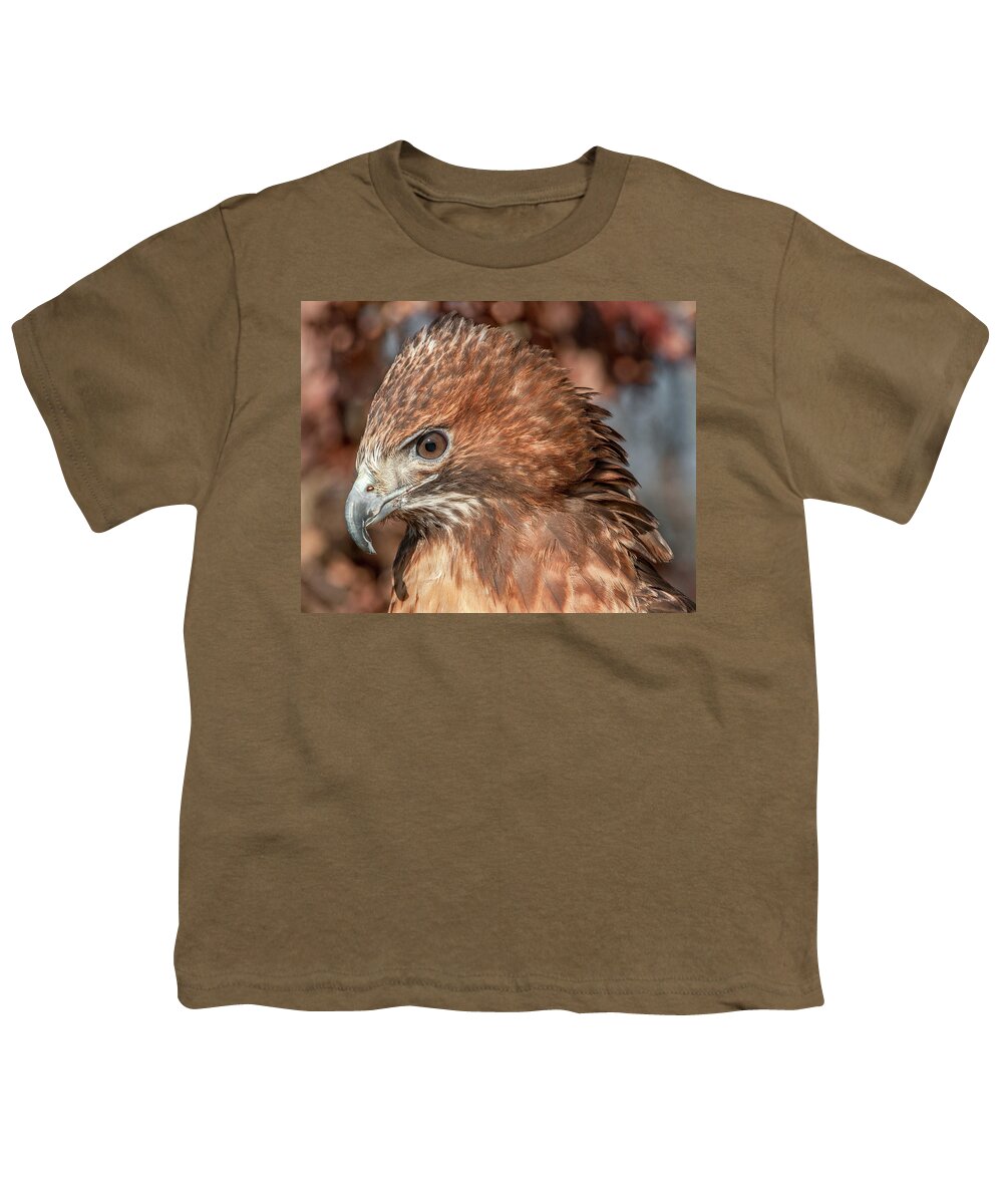 Red Tailed Hawk Youth T-Shirt featuring the photograph Red Tailed Hawk by Minnie Gallman