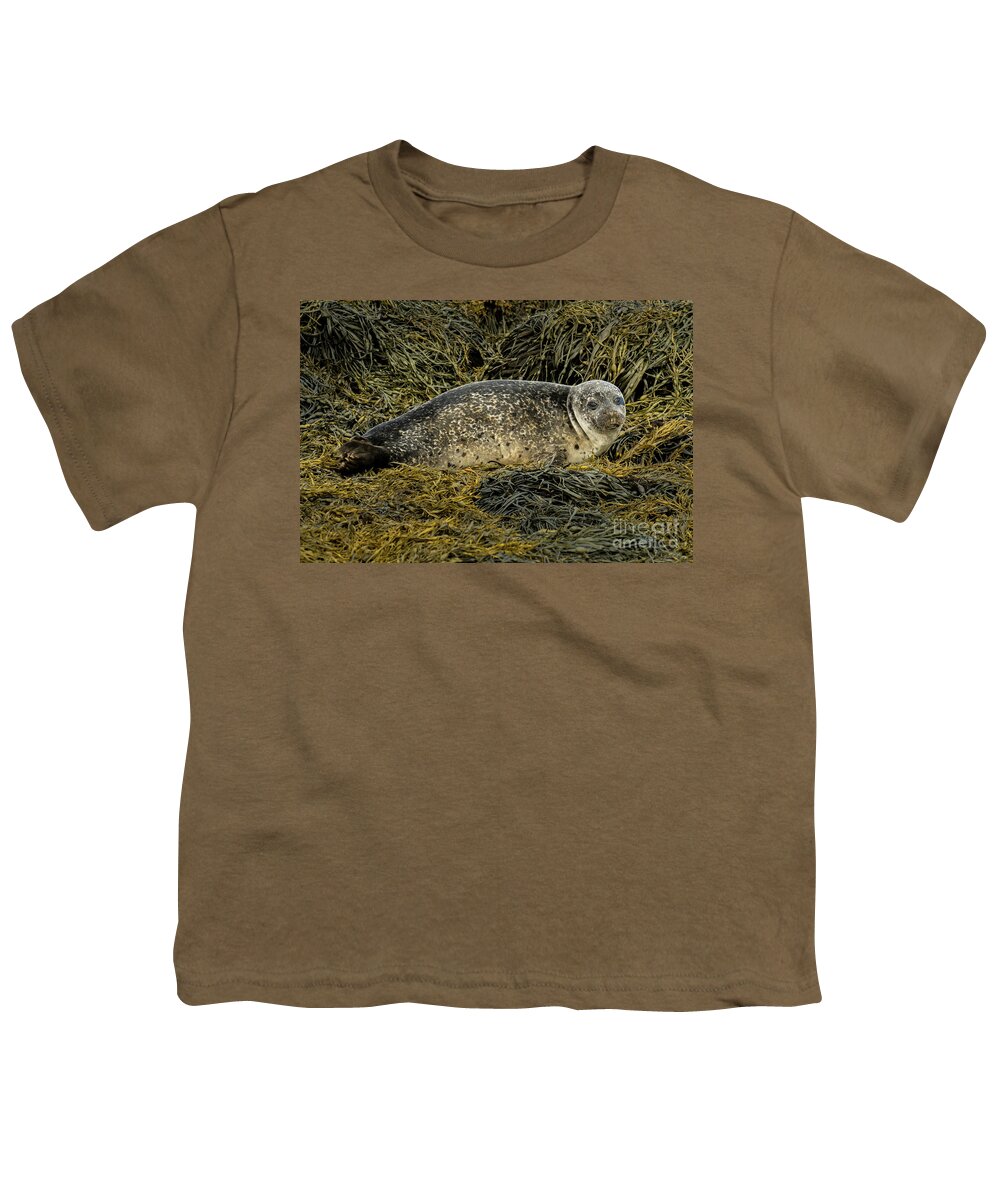 Animal Youth T-Shirt featuring the photograph Relaxing Common Seal At The Coast Near Dunvegan Castle On The Isle Of Skye In Scotland by Andreas Berthold