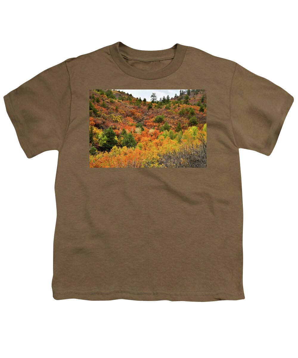 Ouray Youth T-Shirt featuring the photograph Roadside Fall Colors near Ridgway Colorado by Ray Mathis