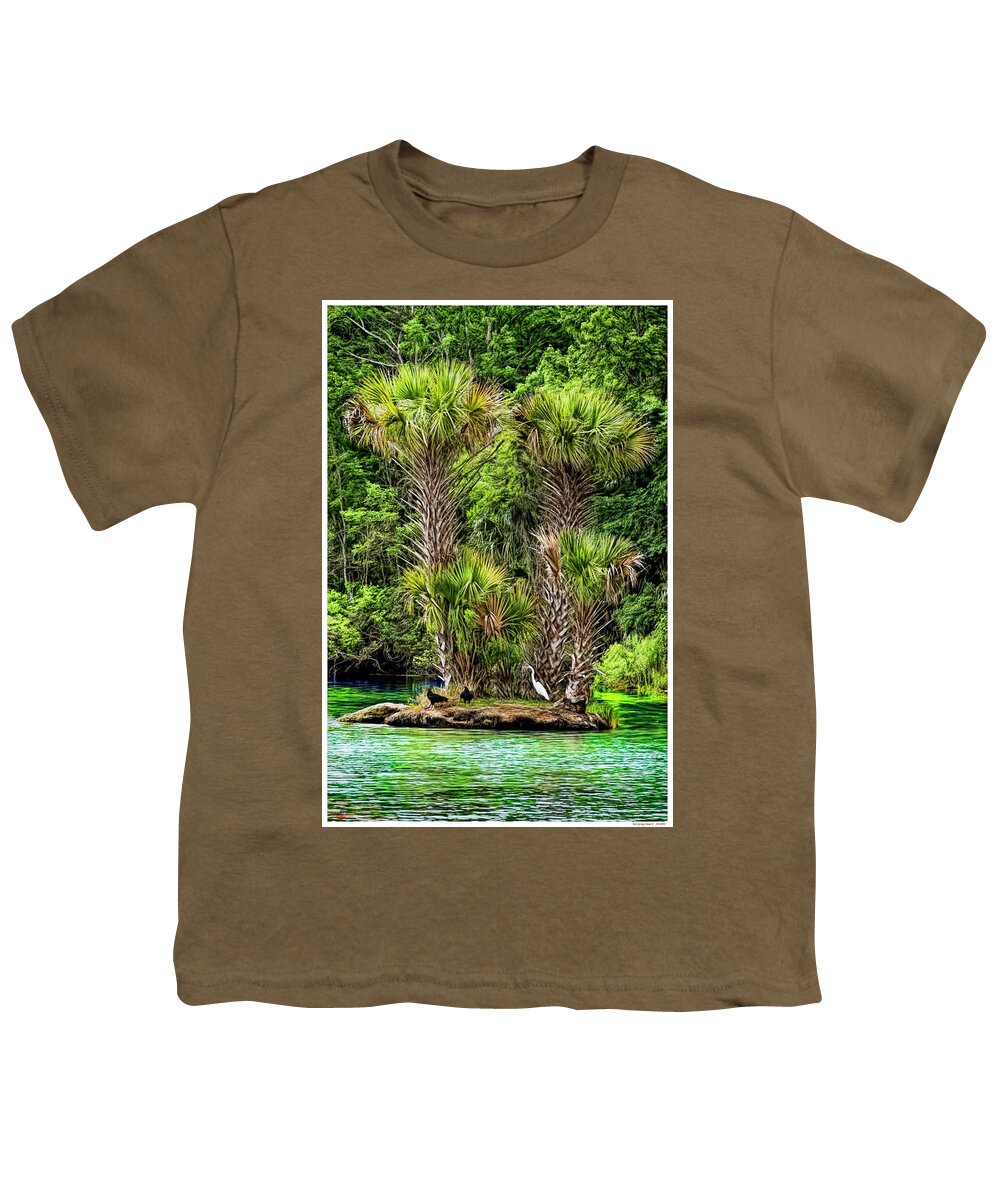 Florida Youth T-Shirt featuring the mixed media Salt Springs Island II by Rogermike Wilson