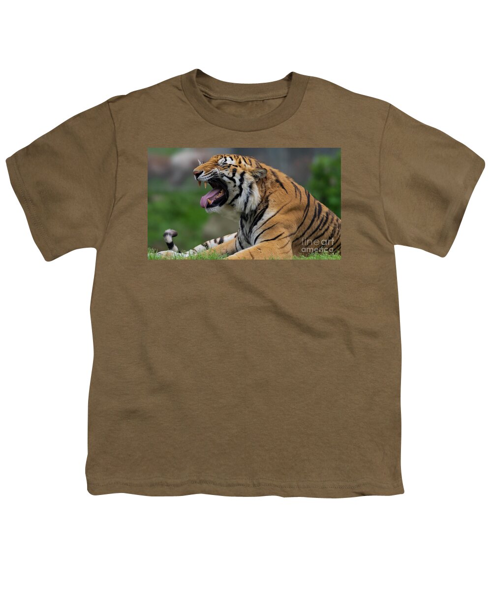 Tiger Youth T-Shirt featuring the photograph Say ahhhhhhh by Sam Rino