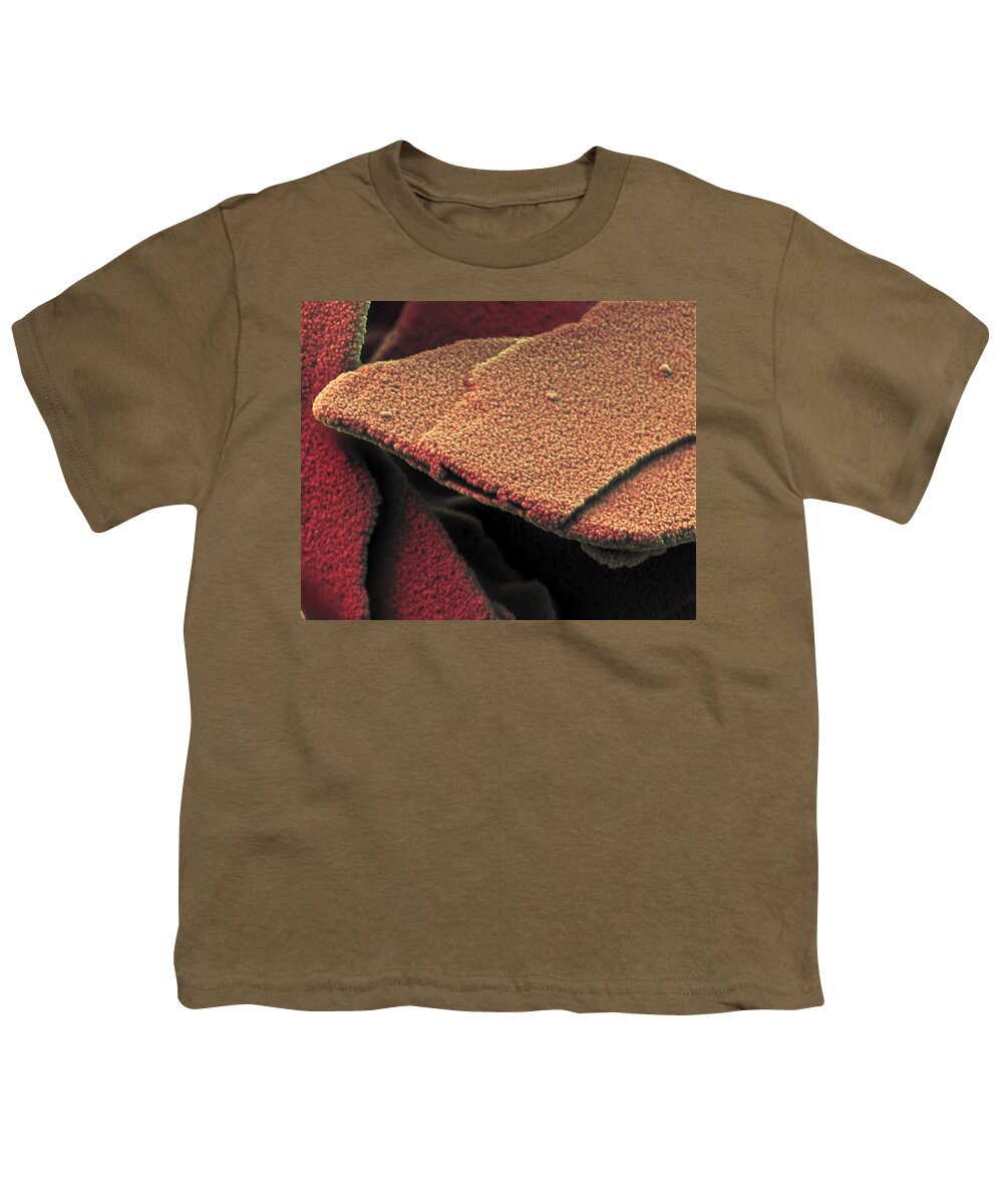 Beauty Product Youth T-Shirt featuring the photograph Titanium Dioxide Pigment Sem by Meckes/ottawa