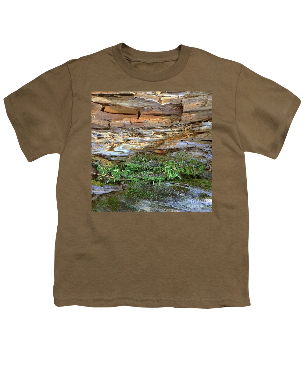 Photography Youth T-Shirt featuring the photograph Woodland 93 by Amy E Fraser