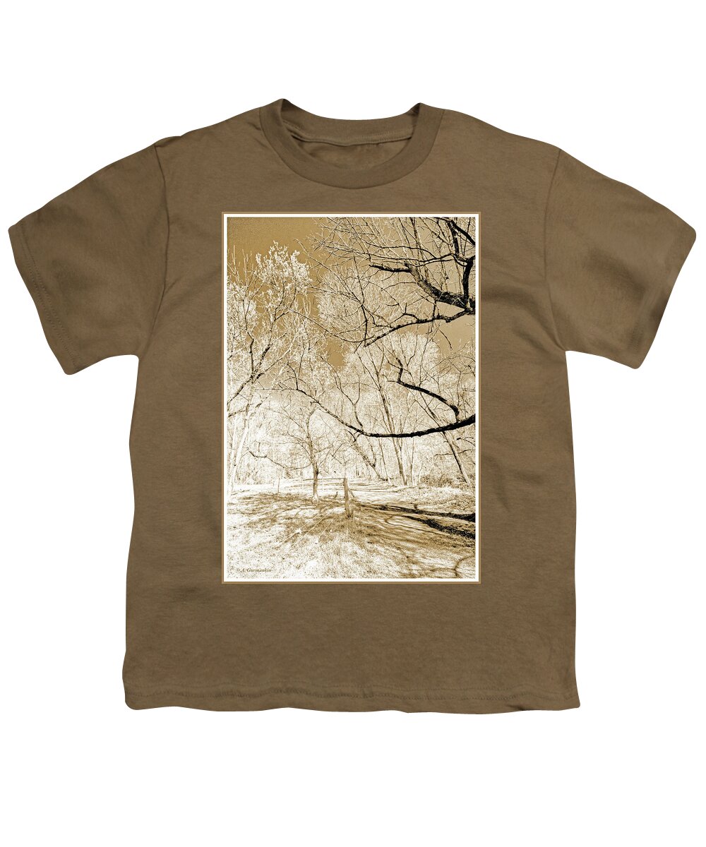 Woodland Youth T-Shirt featuring the photograph Woodland Path in Early Spring by A Macarthur Gurmankin