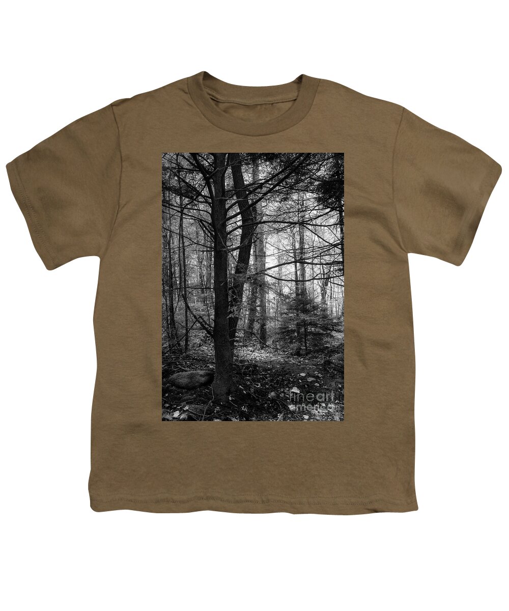 Forest Youth T-Shirt featuring the photograph Woodland Scene by Mike Eingle