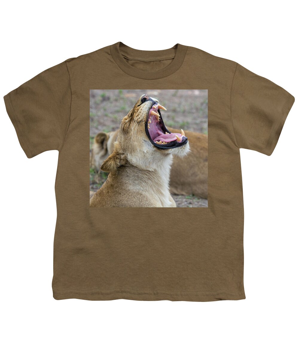 Lion Youth T-Shirt featuring the photograph Yawning Lioness by Mark Hunter