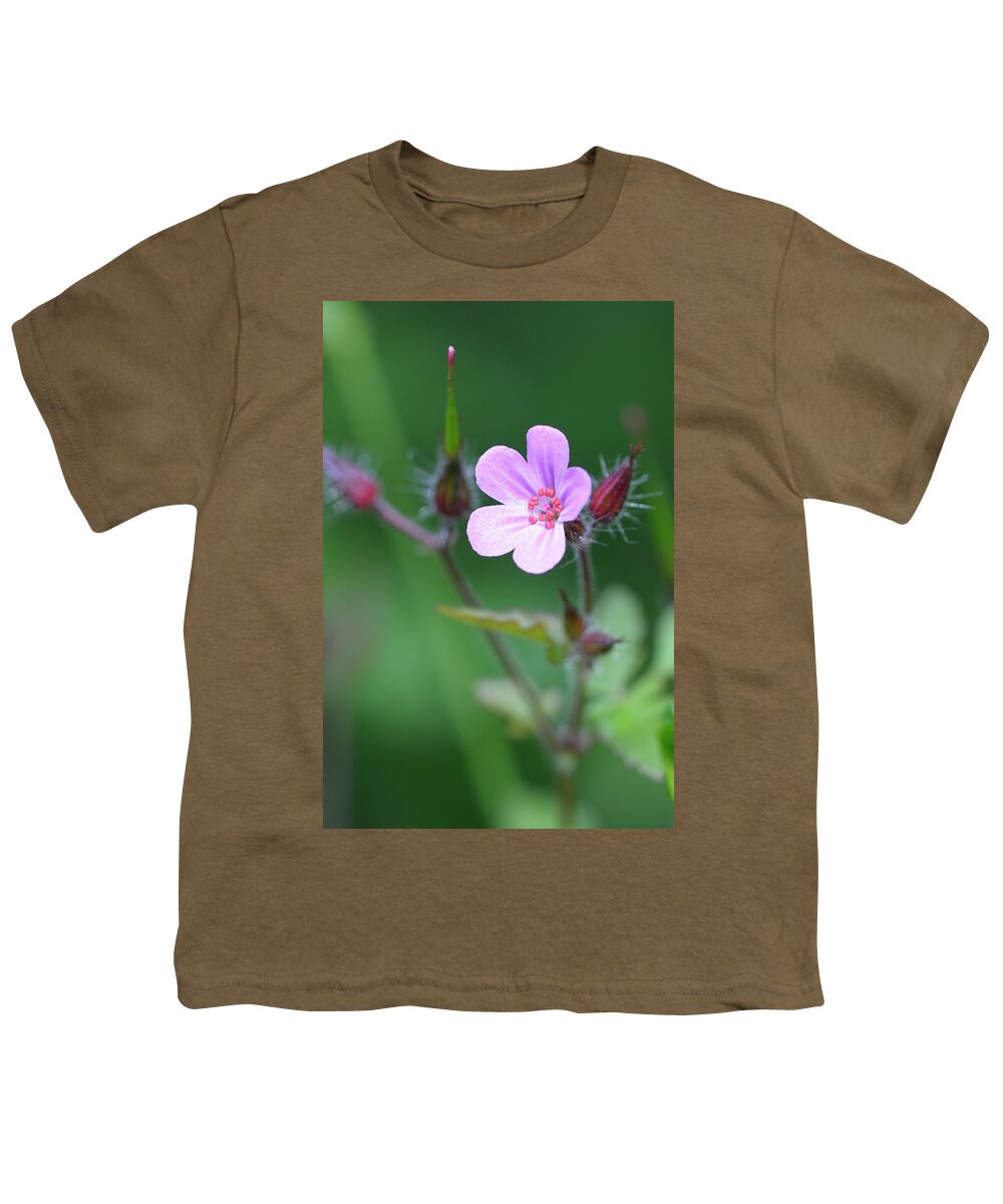 B.c. Youth T-Shirt featuring the photograph , Cowichan Valley, Vancouver Island, British Columbia by Kevin Oke