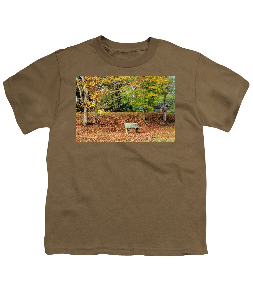 Barns Youth T-Shirt featuring the photograph Bench in the Fallen Leaves Creeper Trail in Autumn Fall Colors D #1 by Debra and Dave Vanderlaan