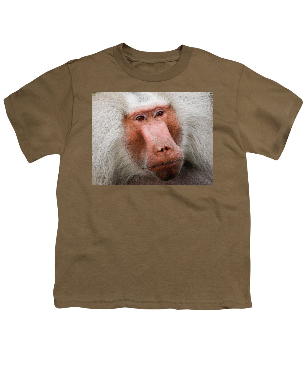 Japanese Snow Monkey Youth T-Shirt featuring the photograph Japanese Snow Monkey #2 by David Morehead