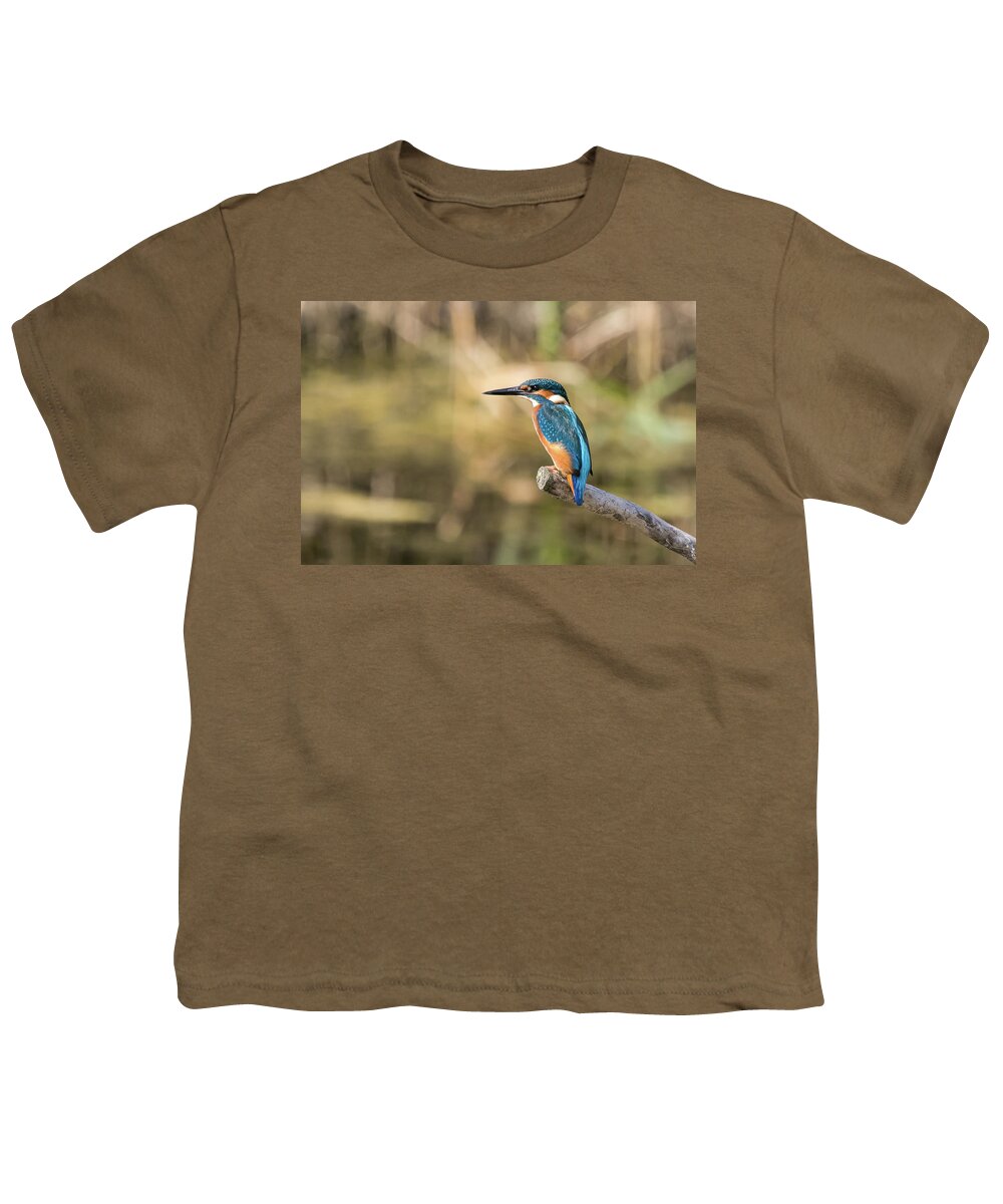 Acledo Athis Youth T-Shirt featuring the photograph Kingfisher Waiting #2 by Wendy Cooper