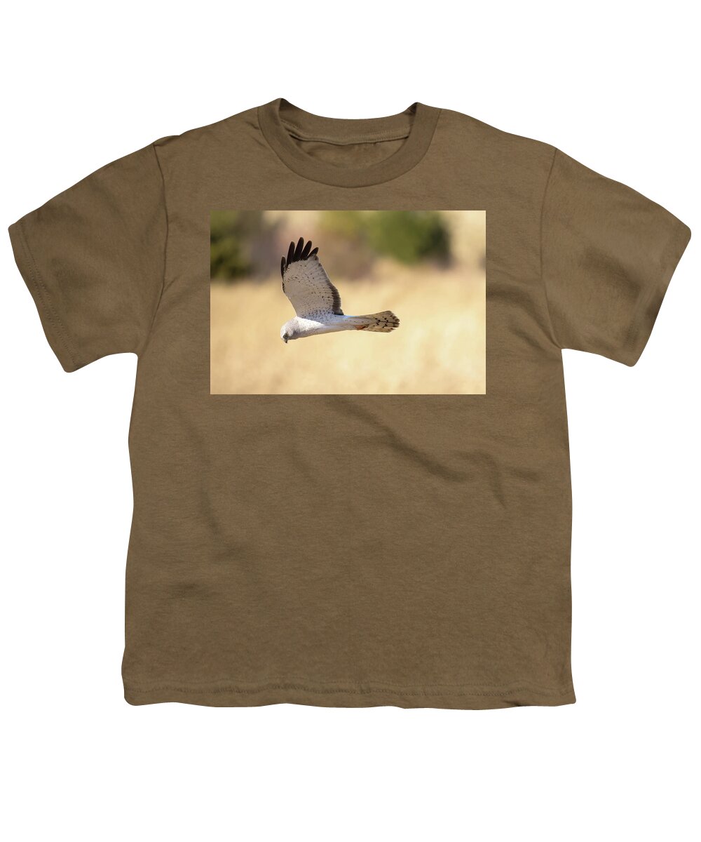 Northern Harrier Hawk Youth T-Shirt featuring the photograph Northern Harrier Hawk #1 by Brook Burling