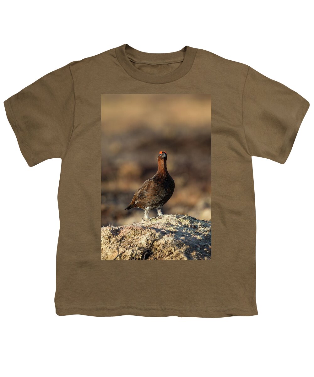 Red Youth T-Shirt featuring the photograph Red Grouse #1 by Pete Walkden