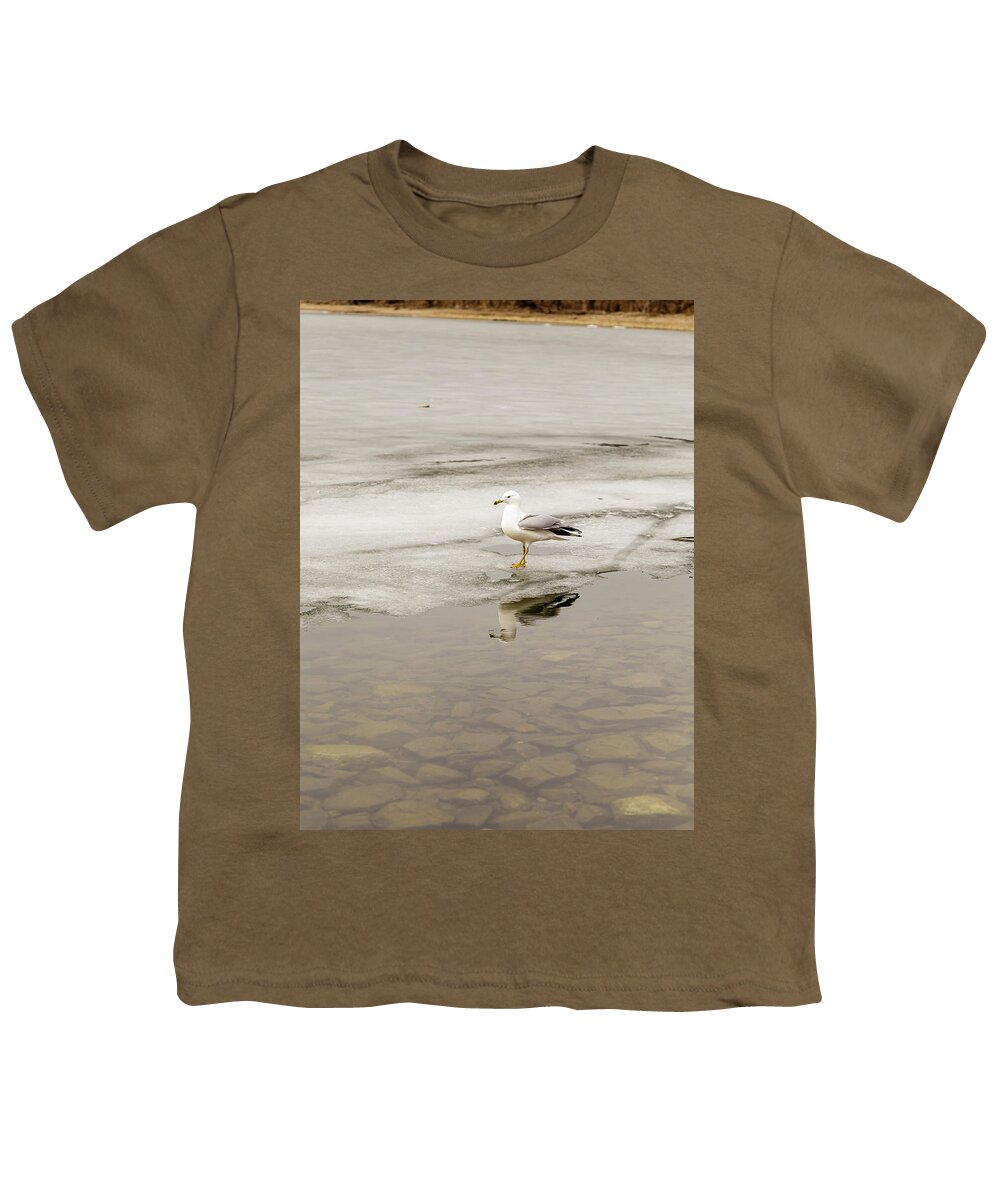 Larus Youth T-Shirt featuring the photograph Ring-billed Gull reflection #1 by SAURAVphoto Online Store