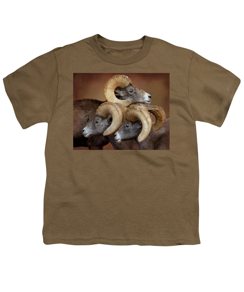 Bighorn Sheep Youth T-Shirt featuring the photograph Three Amigos #1 by Mary Hone