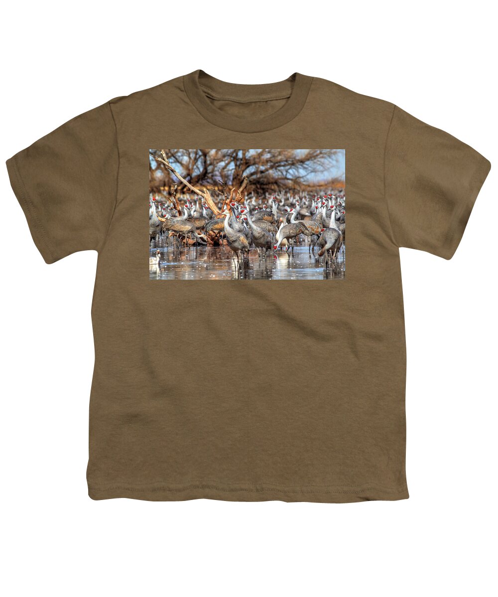 Wildlife Youth T-Shirt featuring the photograph Whitewater Draw 2533 by Robert Harris