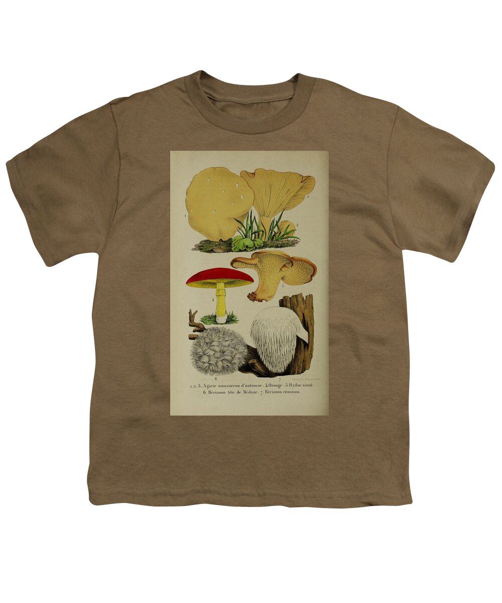 Amanita Youth T-Shirt featuring the mixed media Vintage, Poisonous and Fly Mushroom Illustrations #11 by World Art Collective