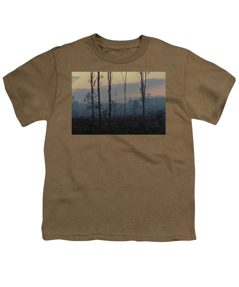 Deforestation Youth T-Shirt featuring the photograph 1808pineforest8 by Nicolas Lombard