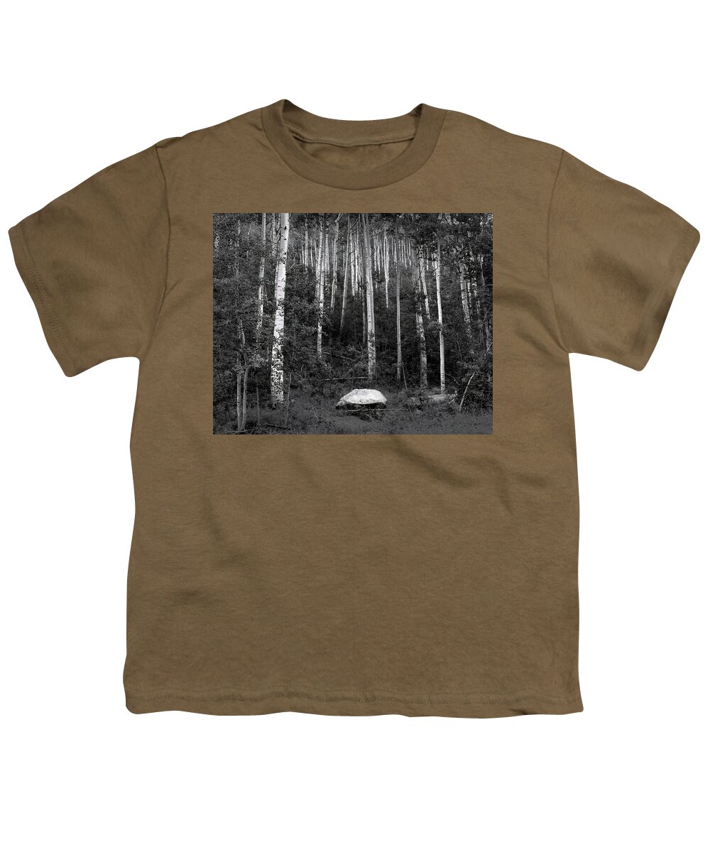 Aspen Youth T-Shirt featuring the photograph Aspen Grove Independence Pass #1 by Wayne King