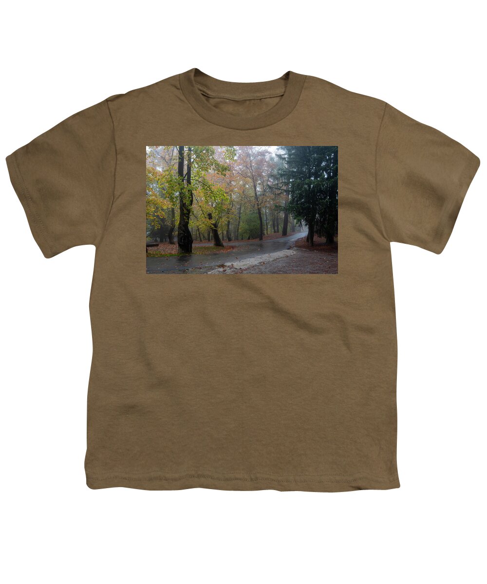 Autumn Youth T-Shirt featuring the photograph Autumn landscape with trees and Autumn leaves on the ground after rain #3 by Michalakis Ppalis